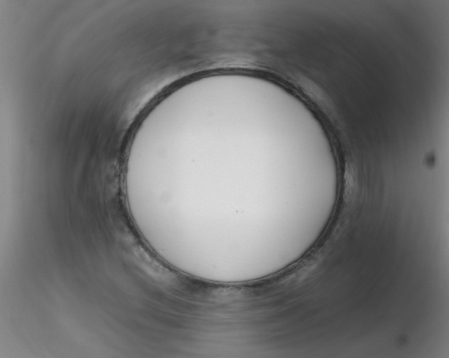 X0000116291212200912211833