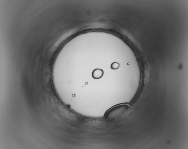 X0000116291213200912211833