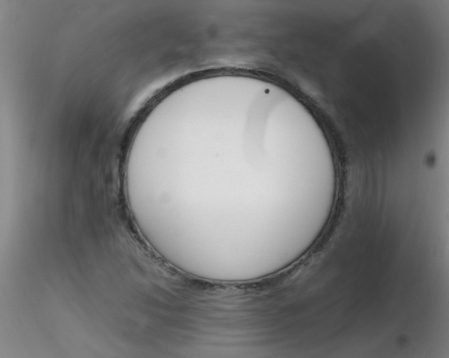 X0000116291214200912211833