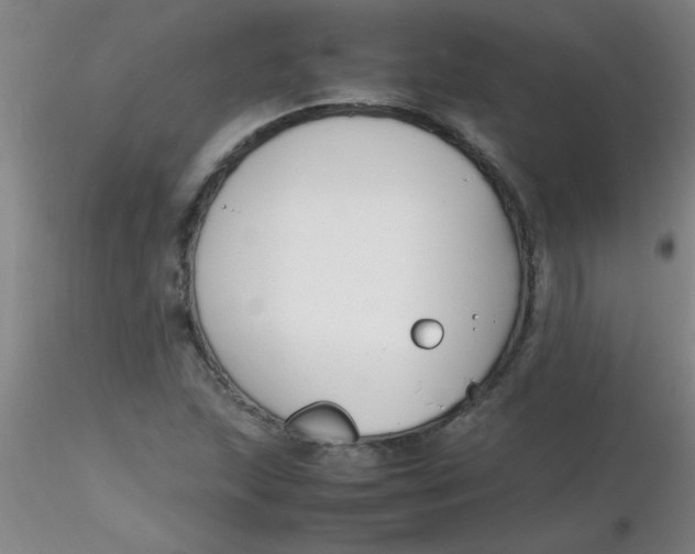 X0000116291215200912211833