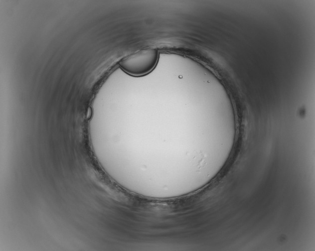 X0000116291217200912211833