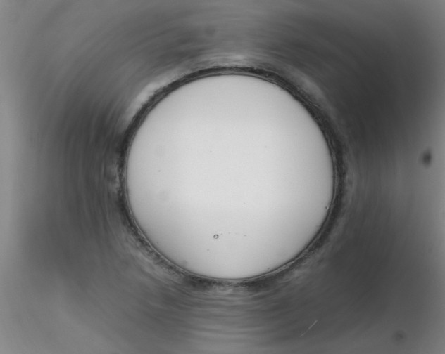 X0000116291218200912211833