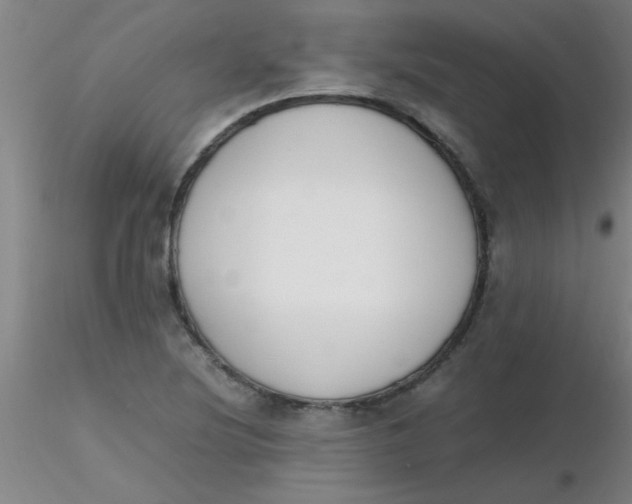 X0000116291220200912211833