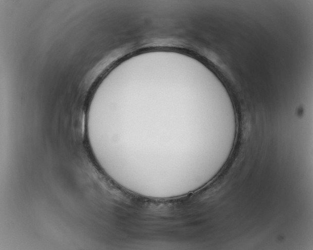 X0000116291221200912211833