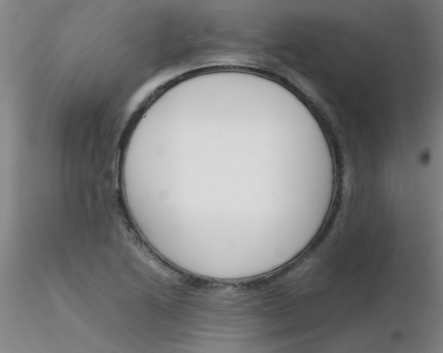 X0000116291222200912211833