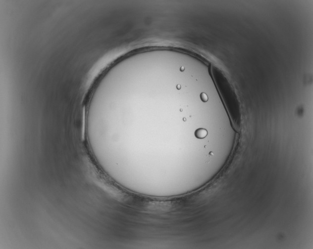 X0000116291223200912211834