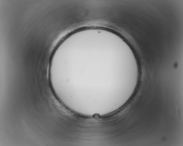 X0000116291224200912211834