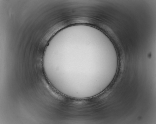 X0000116291225200912211834