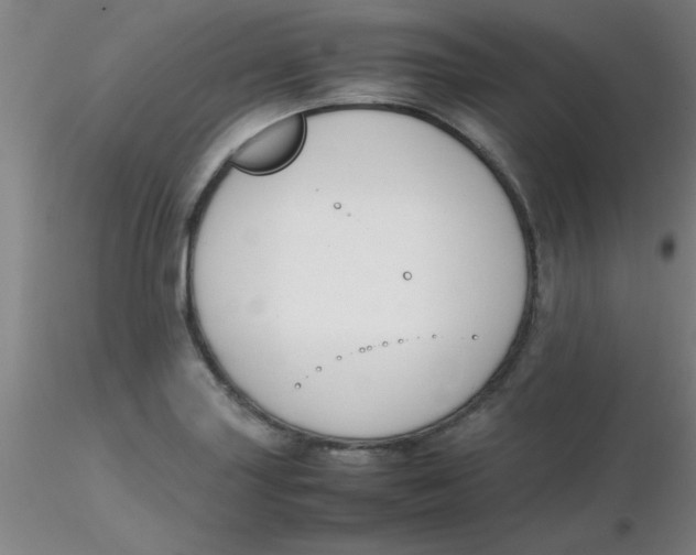 X0000116291227200912211834