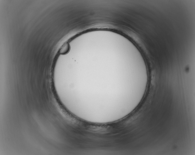 X0000116291229200912211834