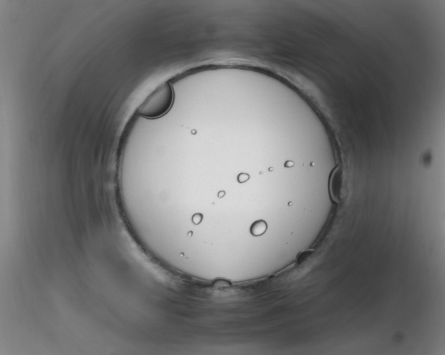 X0000116291231200912211834