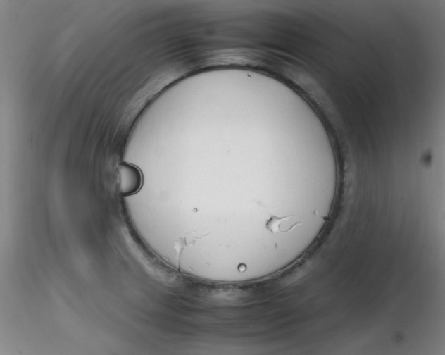 X0000116291233200912211834