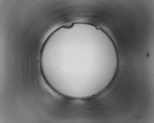 X0000116291235200912211834