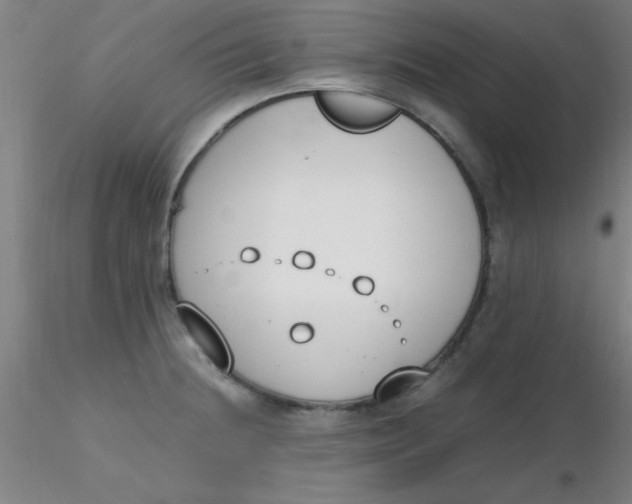 X0000116291236200912211834