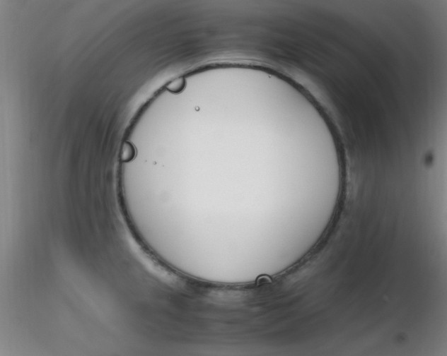 X0000116291237200912211834