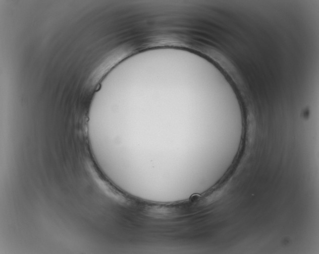 X0000116291241200912211834