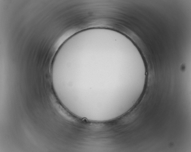 X0000116291242200912211834