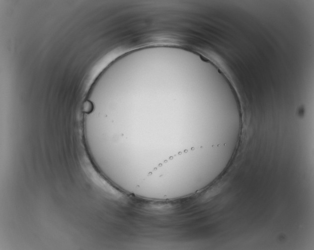 X0000116291243200912211834