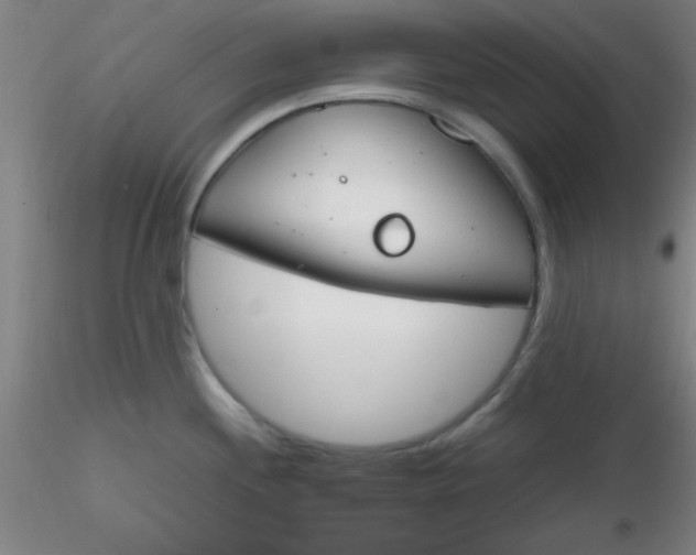 X0000116291244200912211834