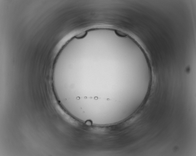 X0000116291245200912211834