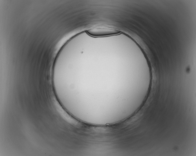 X0000116291246200912211834