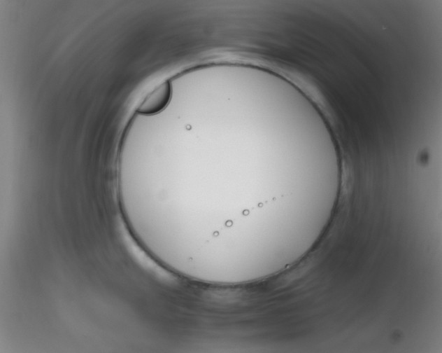 X0000116291247200912211834