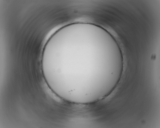 X0000116291248200912211834