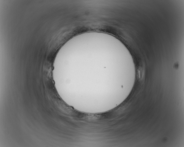 X0000116291251200912211833