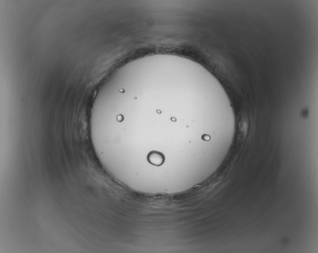 X0000116291252200912211833