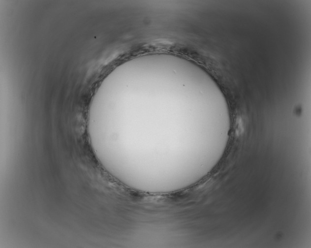 X0000116291253200912211833