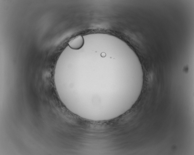 X0000116291254200912211833