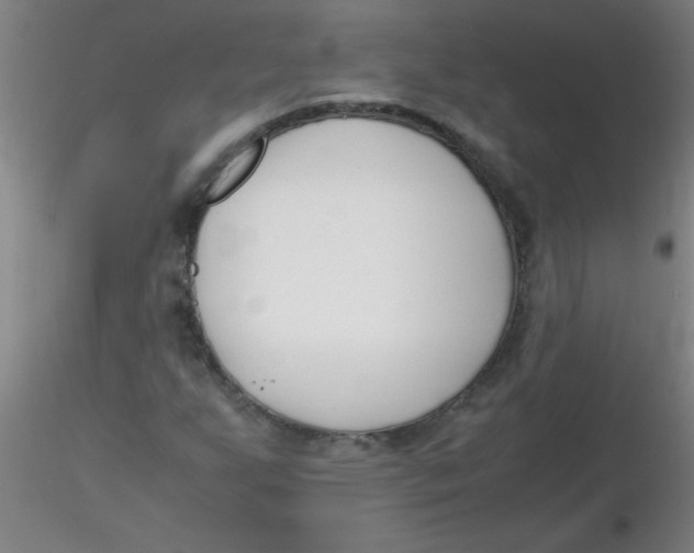 X0000116291255200912211833