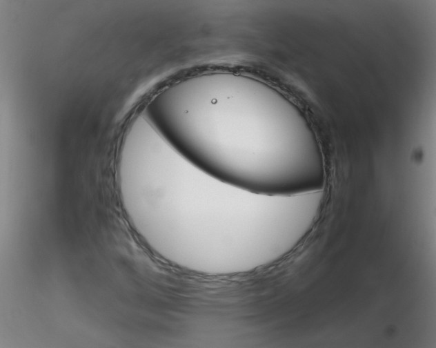 X0000116291256200912211833