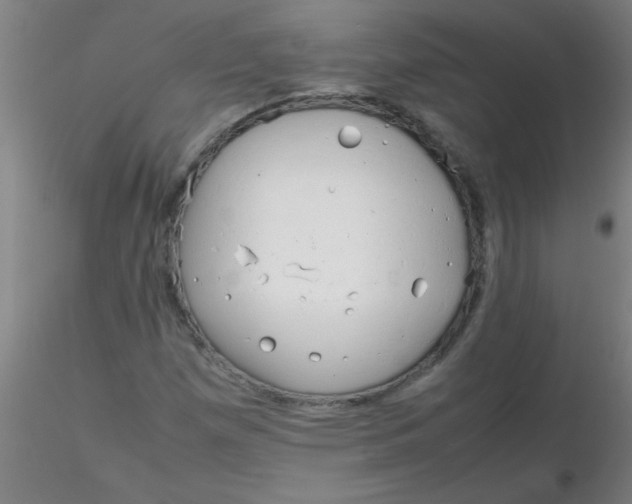 X0000116291257200912211833