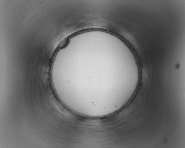 X0000116291260200912211833