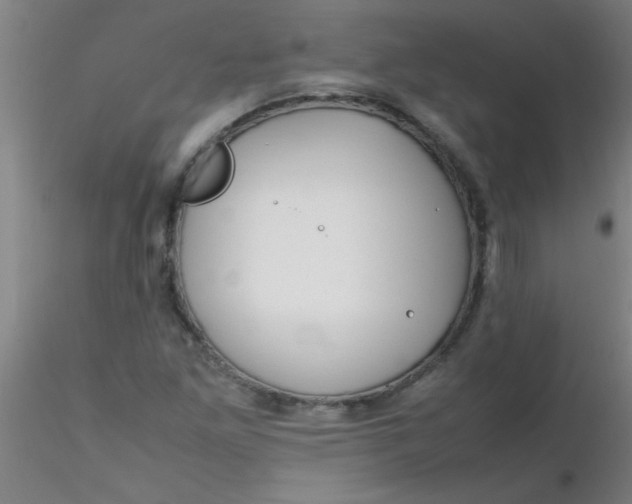 X0000116291261200912211833