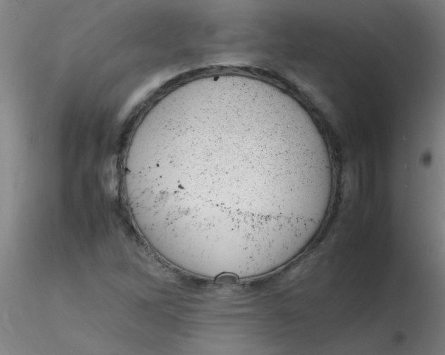 X0000116291262200912211833