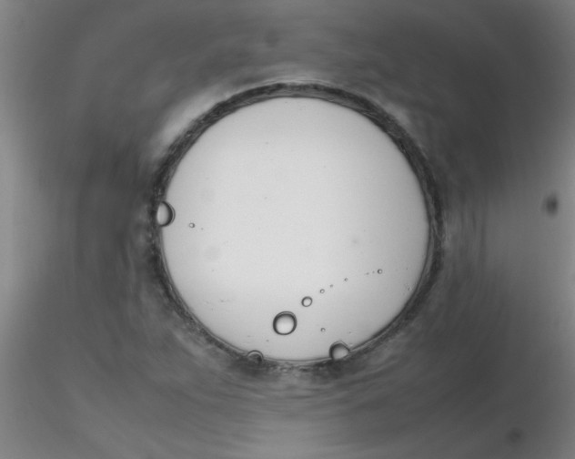 X0000116291263200912211833