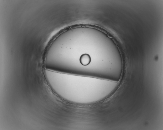 X0000116291264200912211833