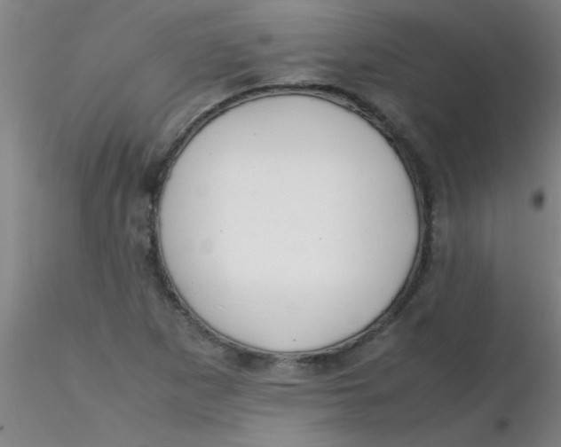 X0000116291265200912211833