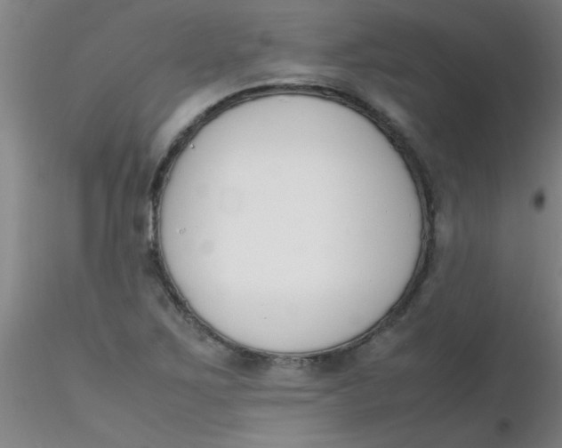 X0000116291267200912211833