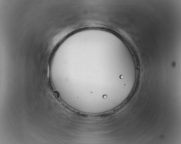 X0000116291269200912211833