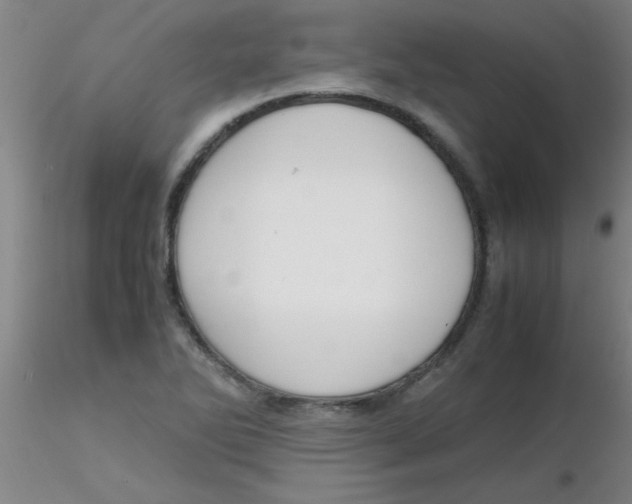 X0000116291270200912211833