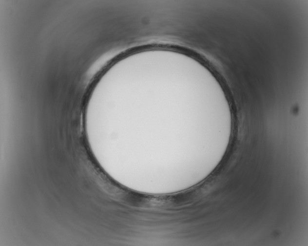 X0000116291271200912211833