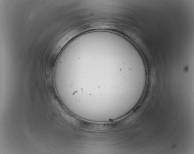 X0000116291273200912211833