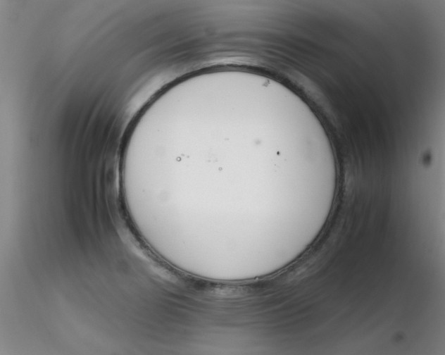 X0000116291274200912211833