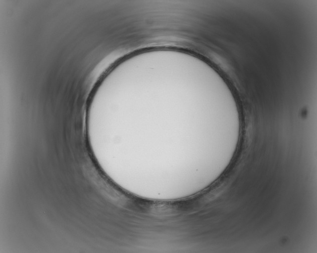 X0000116291275200912211833