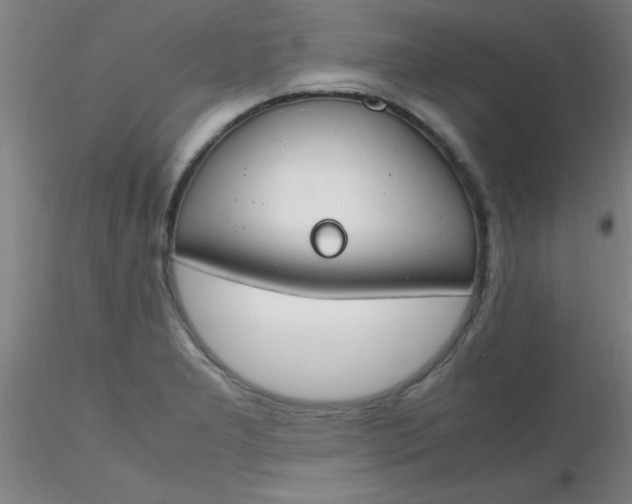 X0000116291277200912211833