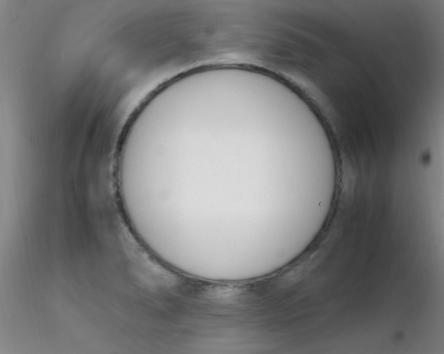 X0000116291278200912211833