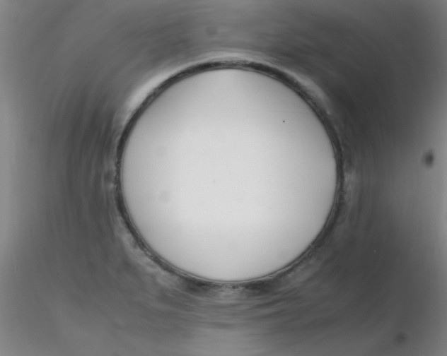 X0000116291279200912211833